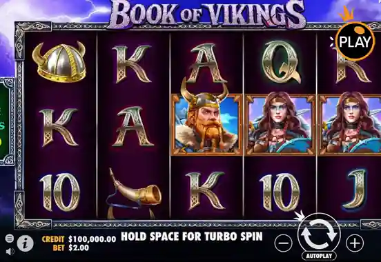 Book of Vikings