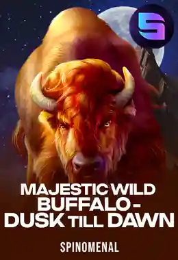 Majestic Wild Buffalo - Dusk Till Dawn