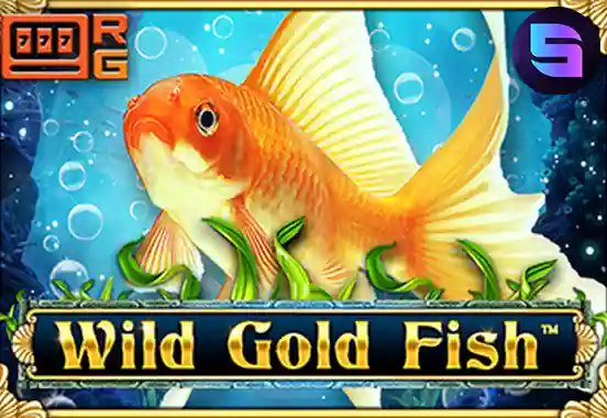 Wild Gold Fish