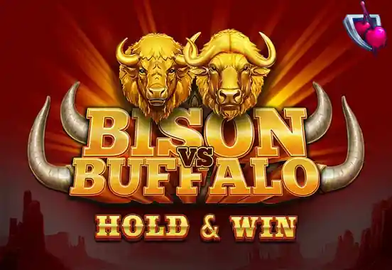 Bison vs Buffalo
